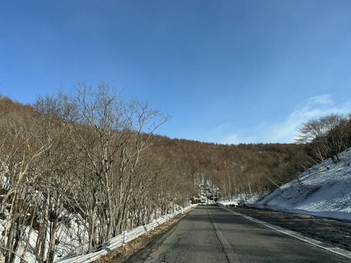S__8994825_0