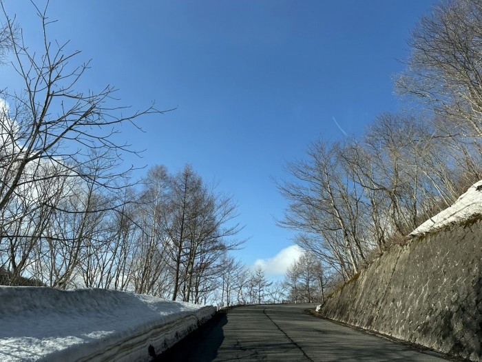 S__8994827_0