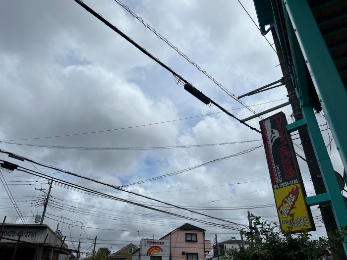 S__9519115_0