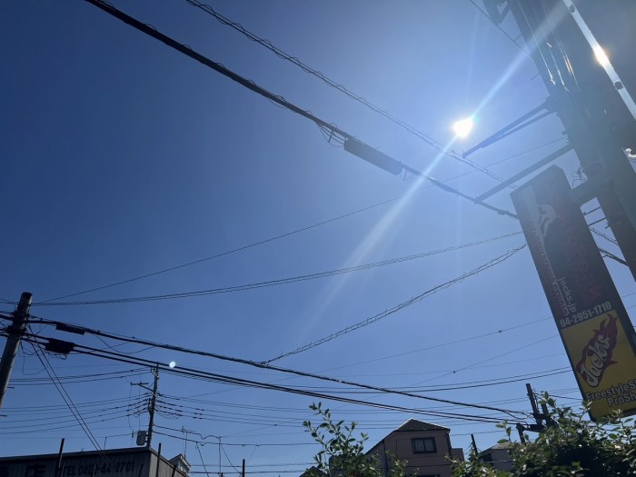 S__10518550_0