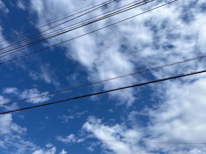 S__11444250_0