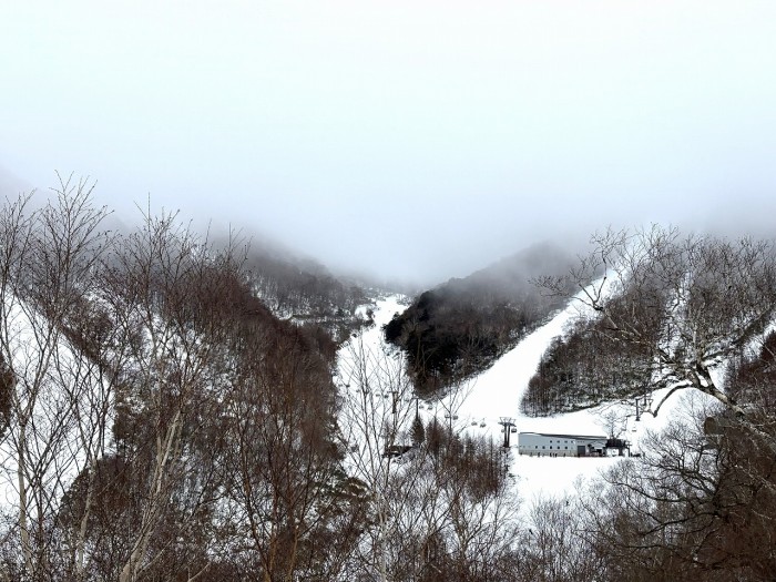 26302729-C9CC-4FA4-A1E2-2E01F6BBE78A