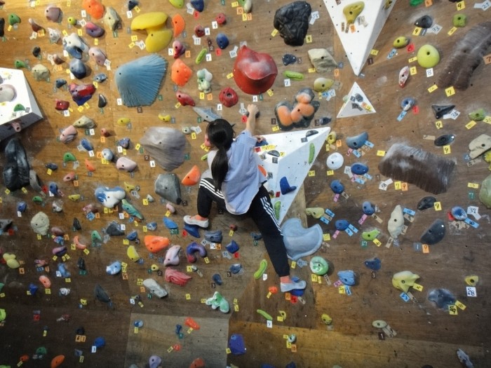 DSC05717 - コピー