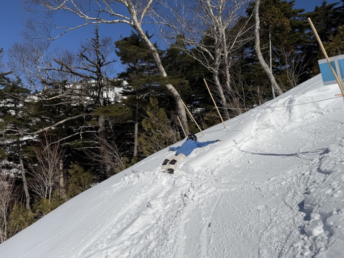 A43407C1-5443-46EE-AD1D-6FB77ADC851D