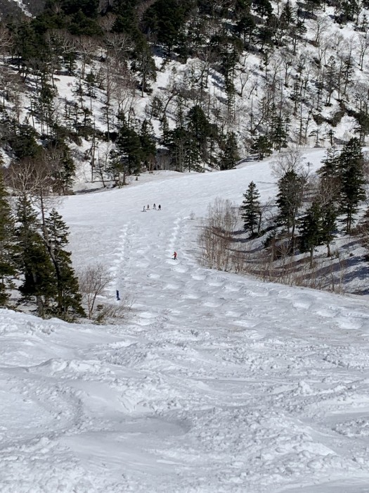 4C2347D8-7E08-4D28-A307-E33D141F7493