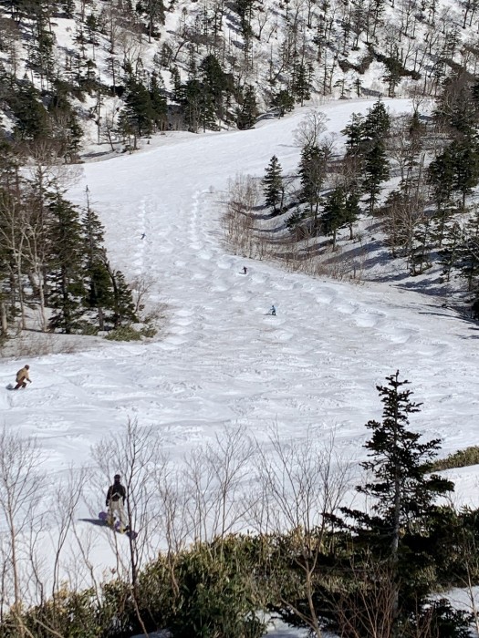 9B004A33-8991-48F0-8A96-ACF8DB4E93EC