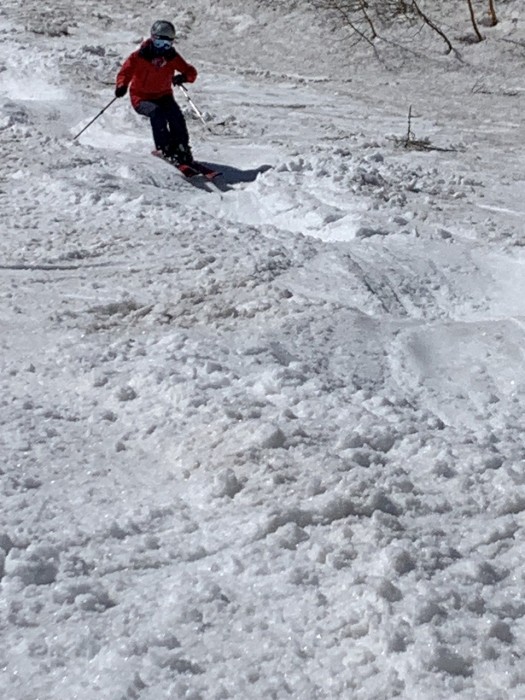 AEC69287-0FB5-4149-8EF9-52724384A6DE