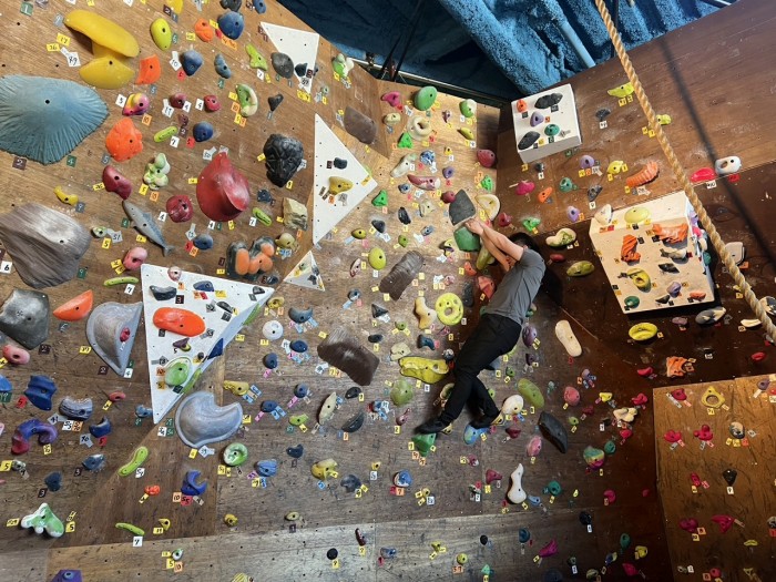 S__15499285_0