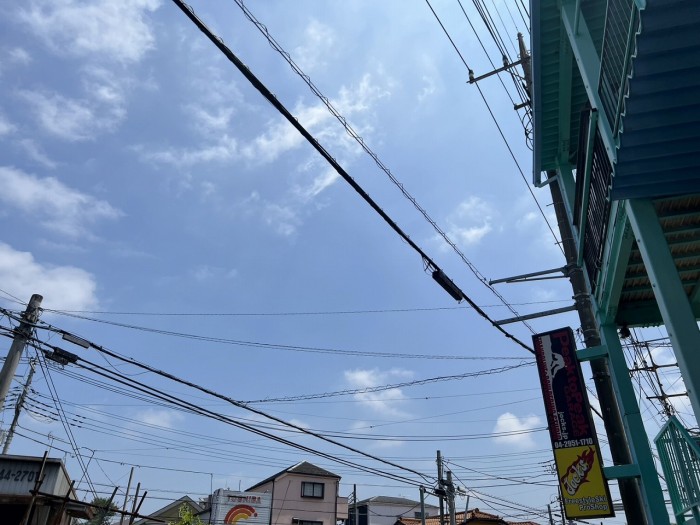 S__15990826_0
