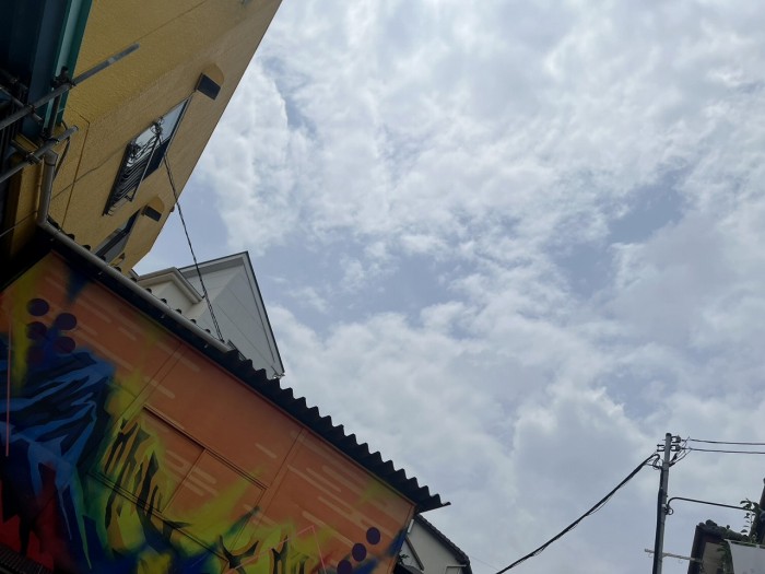 S__17915935_0